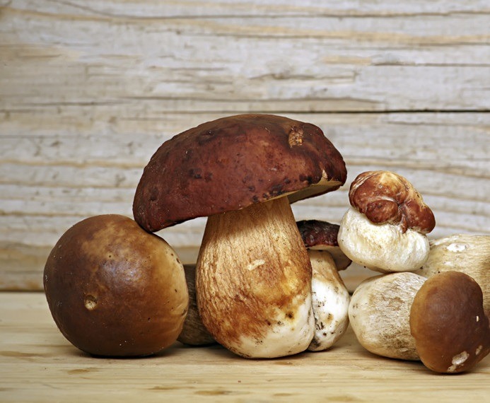 5 modi per cucinare i funghi porcini